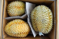 中老铁路水果日均运输量超2000吨 为经贸合作再添力